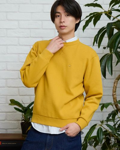 Golden Bearスナップ襟スウェット | ゴールデンベアストア