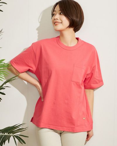 Golden BearFamilyTシャツ | ゴールデンベアストア