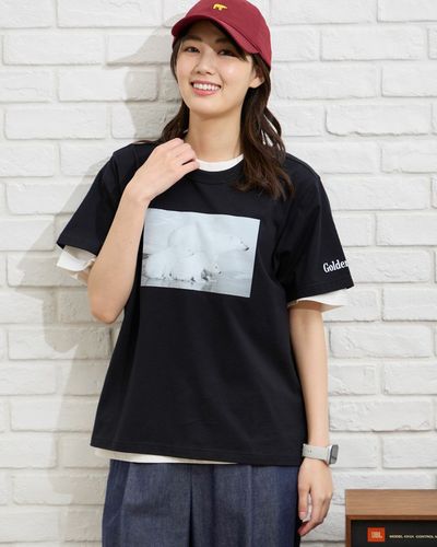 Golden BearホースロゴプリントTシャツ / YUTAKA NOJIMA