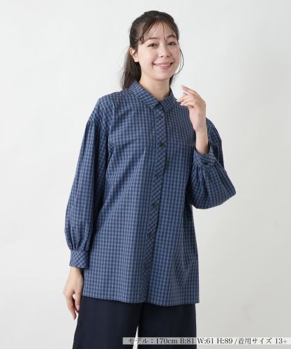 ウォッシャブル】ストライプシャツ【プラス企画】|レリアン プラス