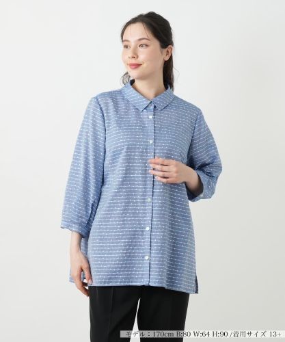 ウォッシャブル】ストライプシャツ【プラス企画】|レリアン プラス