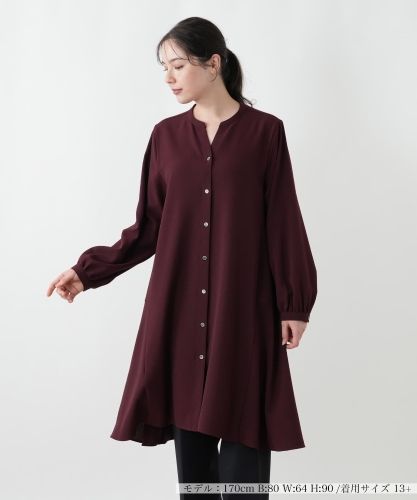 チュニックブラウス【プラス企画】|レリアン プラスハウス | レリアン