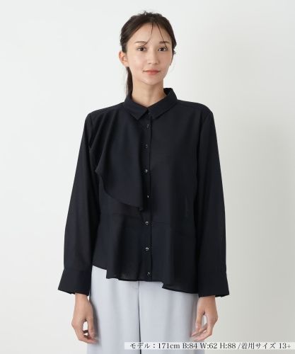 極美品✨ 近年モデル✨ レリアン シアーブラウス オーバーサイズ 13号＋ 黒 極美品✨ 近年モデル✨ レリアン シアーブラウス オーバーサイズ