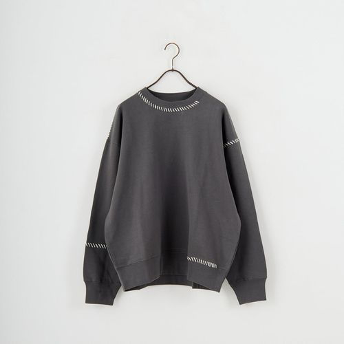 THE NORTH FACE [ザ ノースフェイス] ズーピッカークルー [NT12646