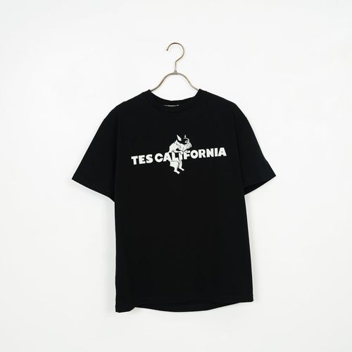 The Endless Summer [エンドレスサマー] サテンワッペン Tシャツ [C