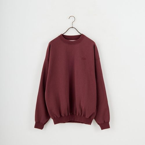 THE NORTH FACE [ザ ノースフェイス] ズーピッカークルー [NT12646