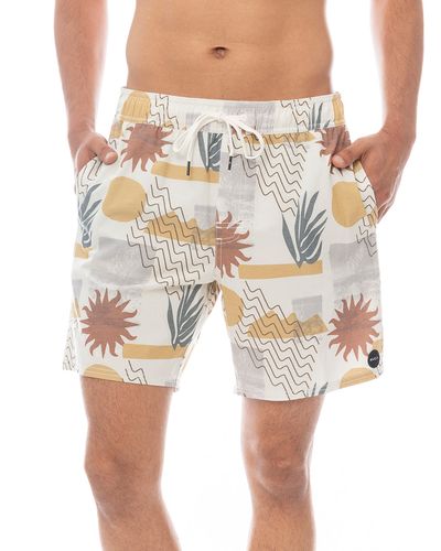 RVCA ショートパンツ 限定モデル　新品 OUTLET】RVCA メンズ ANYTIME TRUNK 16 ボードショーツ 【2025年春夏