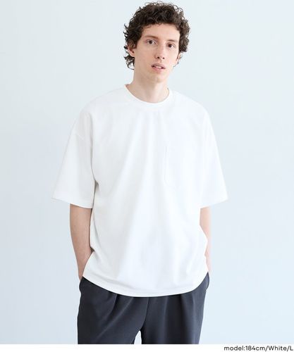 ベーシックTシャツ メンズ レディース メール便不可 – coca公式ストア