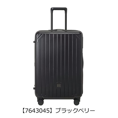 ミレスト ボストンキャリー 機内持ち込み 37L 1.9kg トロット