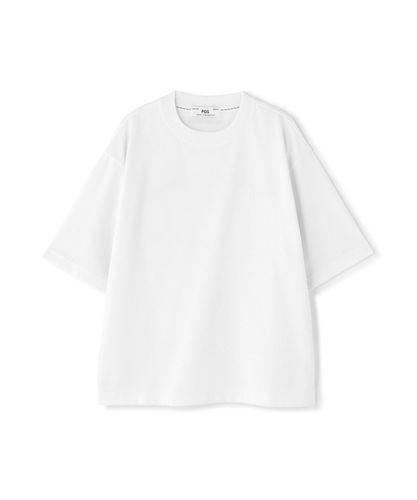 PG BODY】N/パワーネット×Peベア天竺長袖Uネックカットソー | PEARLY