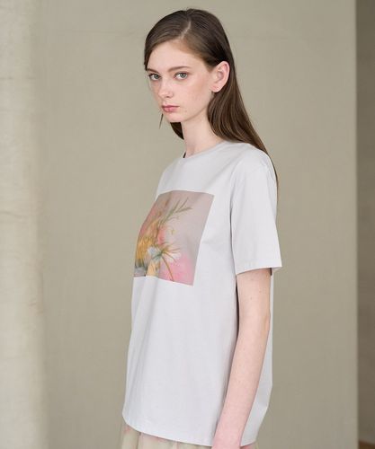 COLIBRI コリブリ ピュア コットン プリント Tシャツ CABaN ドライスビンコットン IBIZA プリントTシャツ