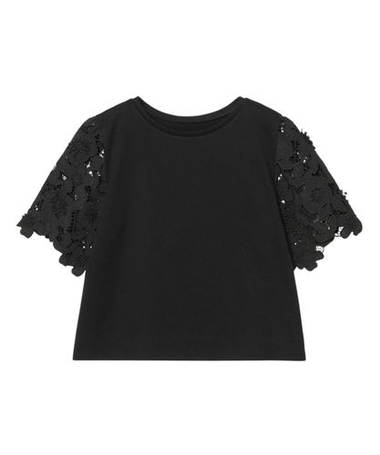 アナイ　tシャツ コンパクトポンチスカラップ袖 プルオーバー　ANAYI 白　M コンパクトポンチスカラップ袖 プルオーバー|ANAYI OFFICIAL ONLINE