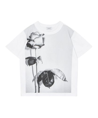LISA KING MERNIER TEE|ANAYI OFFICIAL ONLINE STORE｜アナイ 公式サイト