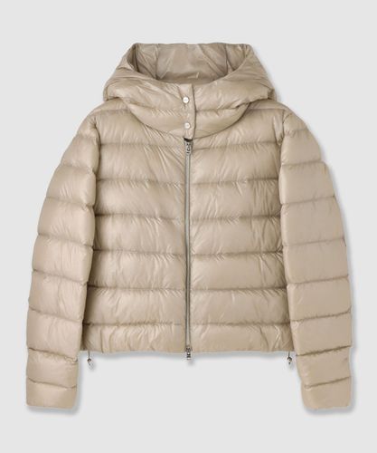 マットサテンペプラムダウンコート|ANAYI OFFICIAL ONLINE STORE