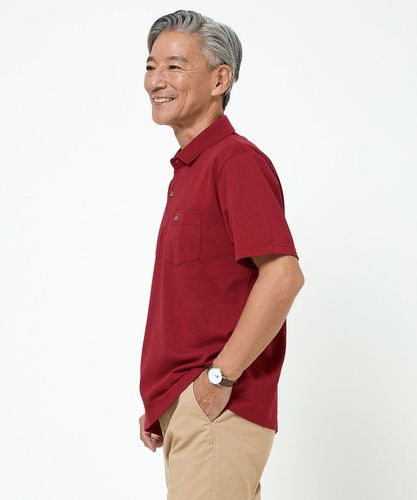 メンズ 鹿の子 デザイン ポロシャツ通販 [1602-54221] - クロコダイル
