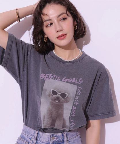 ヴィンテージ Poodle Photo Tシャツ | Tシャツ・カットソー | Arpege