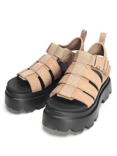 UGG スエードストラップサンダル 8 (25 cm) UGG (アグ) スエードアッパー 軽量ソール スライドサンダル Venture