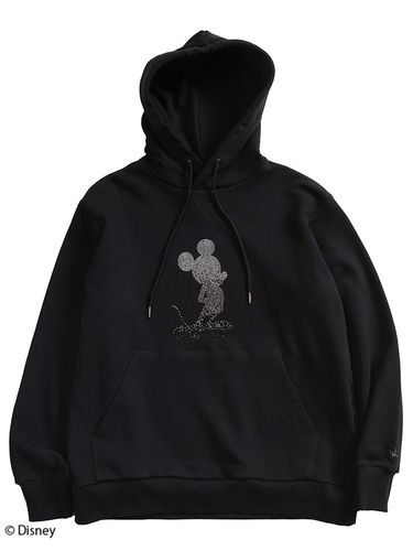 THE NORTH FACE (ザ ノースフェイス) 裏起毛 バックラインロゴ プル