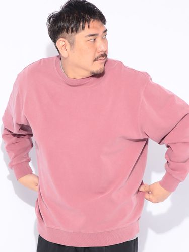 トレーナー 長袖 ロゴプリント 裏起毛 クルーネック トップス プル