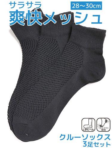 スニーカーソックス 10足セット 抗菌防臭 底パイル 大きいサイズ