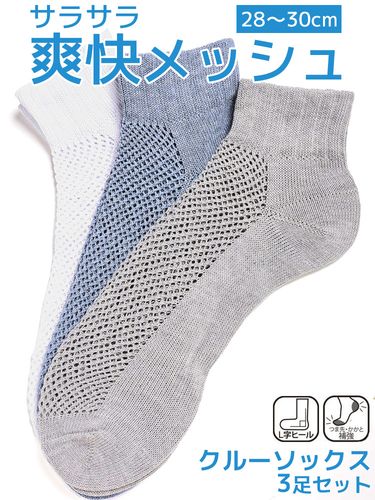 ワンポイント リブ フルレングスソックス 3足セット (Champion