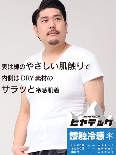 大きいサイズ メンズ B.V.D. (ビーブイディー) 2枚組み Vネック 半袖