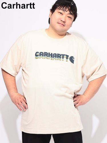 Tシャツ 半袖 メンズ 大きいサイズ グラフィックフォト バックプリント