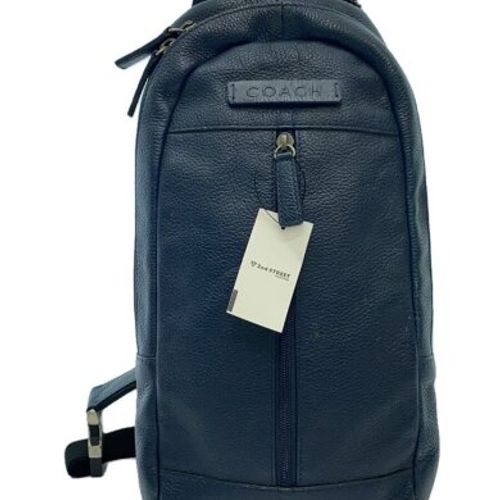 COACH(コーチ) / ショルダーバッグ/レザー/BLU/F70691// | 中古品の