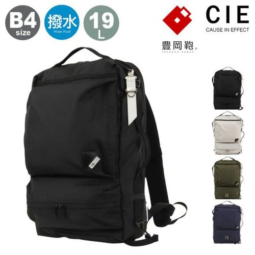 cie-071952_1.jpg