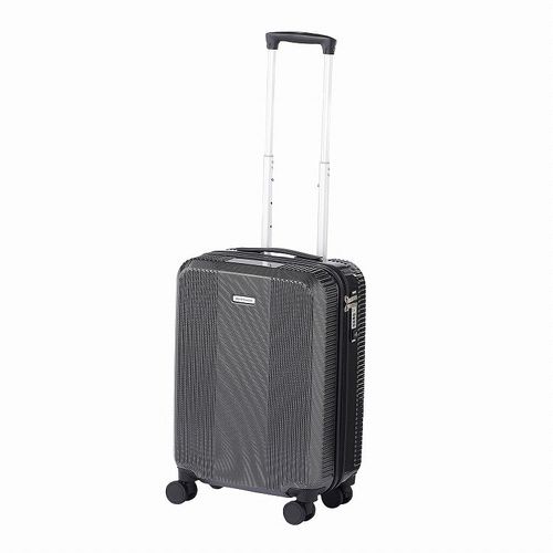 ACE WORLD Traveler スーツケース 91L シルバーカーボン 楽天市場】【エース公式】 スーツケース ハードケース キャリー